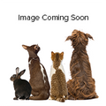 Stella & Chewy's Raw Coated Wholesome Grains Cage-Free Chicken Dry Dog Food - 22 lb