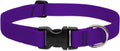 LupinePet Basic Solids Purple Adjustable Dog Collar - 1 in x 16-28 in