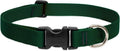 LupinePet Basic Solids Green Adjustable Dog Collar - 1 in x 16-28 in