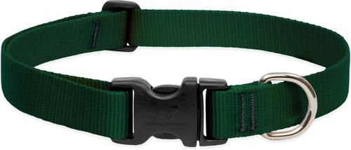 LupinePet Basic Solids Green Adjustable Dog Collar - 1 in x 16-28 in