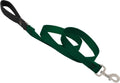LupinePet Basic Solids Green Dog Leash - 1 in x 6 ft