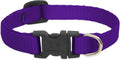 LupinePet Basic Solids Purple Adjustable Dog Collar - 1/2 in x 6-9 in