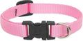 LupinePet Basic Solids Pink Adjustable Dog Collar - 1/2 in x 8-12 in