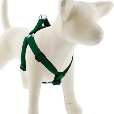 LupinePet Basic Solids Green Step-In Dog Harness - 1 in x 19-28 in