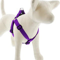 LupinePet Basic Solids Purple Step-In Dog Harness - 1 in x 19-28 in