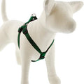 LupinePet Basic Solids Green Step-In Dog Harness - 3/4 in x 15-21 in