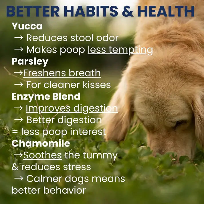 Under the Weather Coprophagia - No Poop Eating Soft Chew 60c