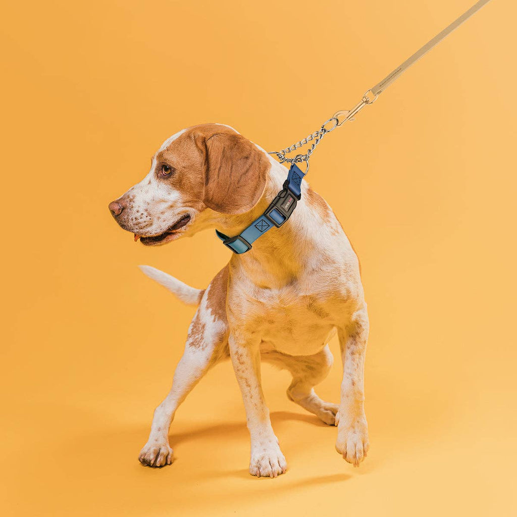 Biothane Adjustable Martingale Collar with Quick Release Buckle