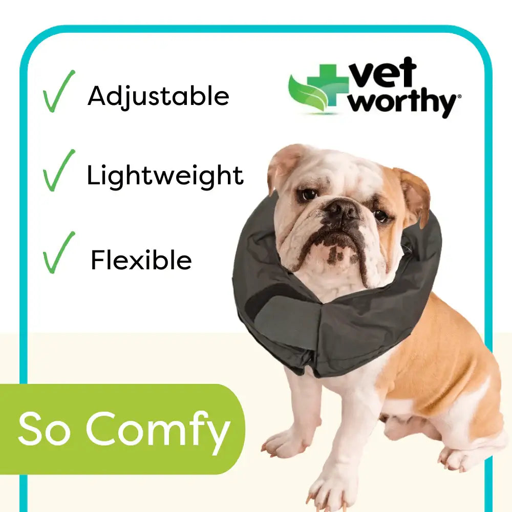 Vet Worthy Pet Protective Collar Boxed