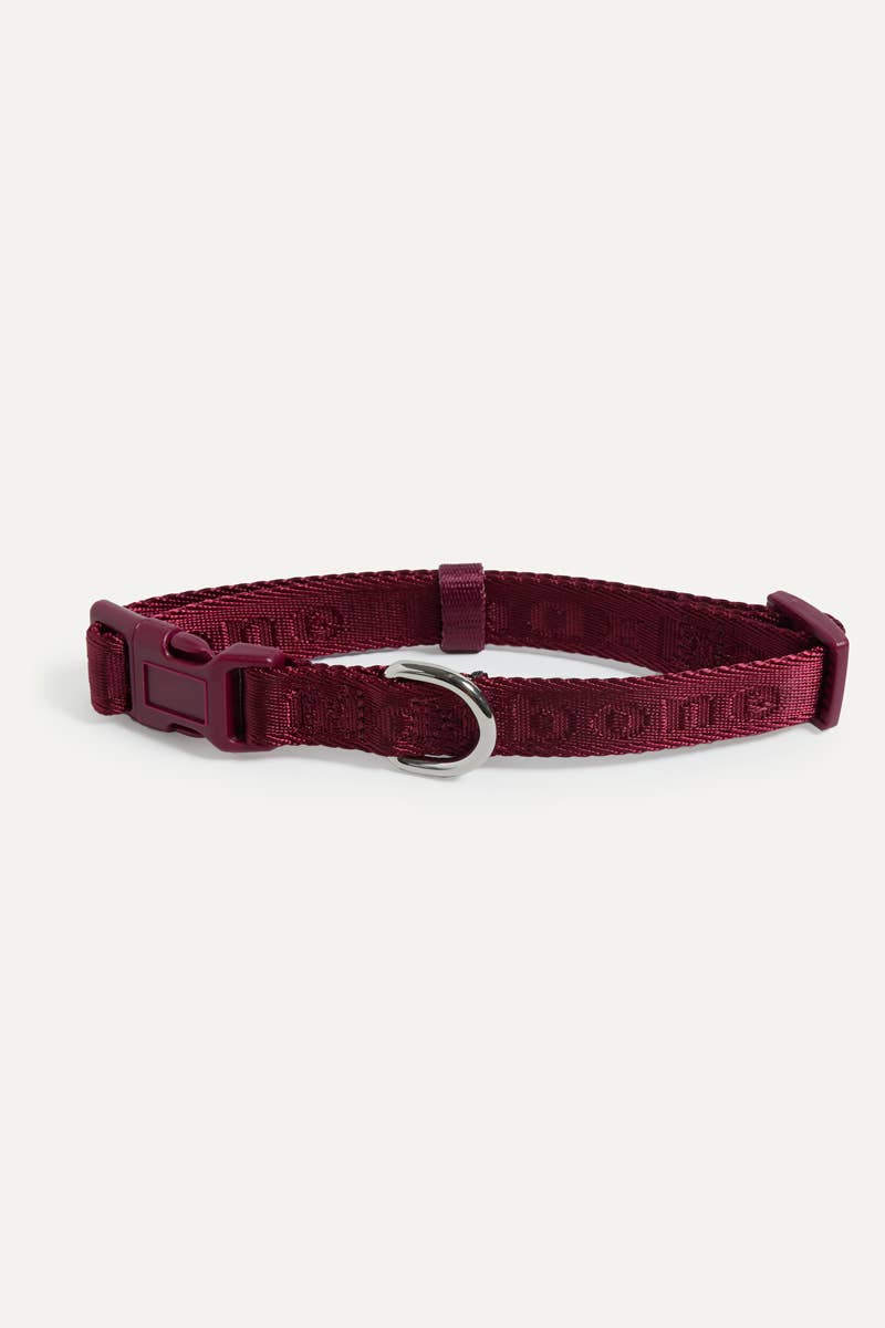 Signature Collar for Dogs