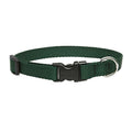 LupinePet Basic Solids Green Adjustable Dog Collar - 1 in x 12-20 in