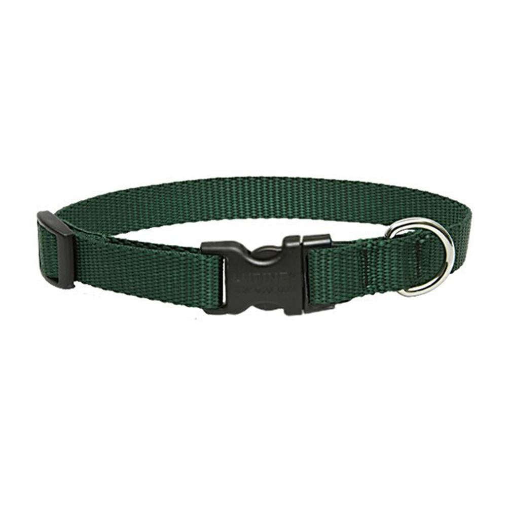 LupinePet Basic Solids Green Adjustable Dog Collar - 1 in x 12-20 in