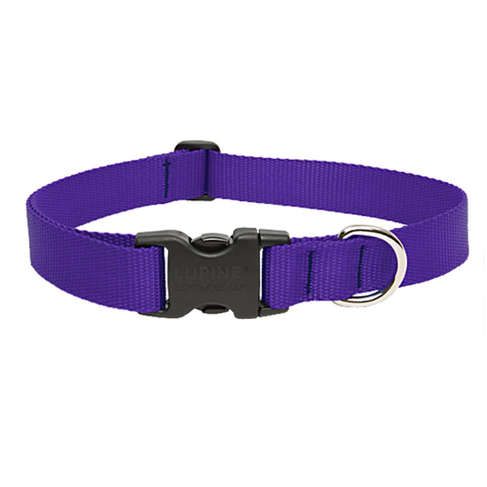 LupinePet Basic Solids Purple Adjustable Dog Collar - 1 in x 12-20 in