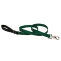LupinePet Basic Solids Green Dog Leash - 3/4 in x 6 ft