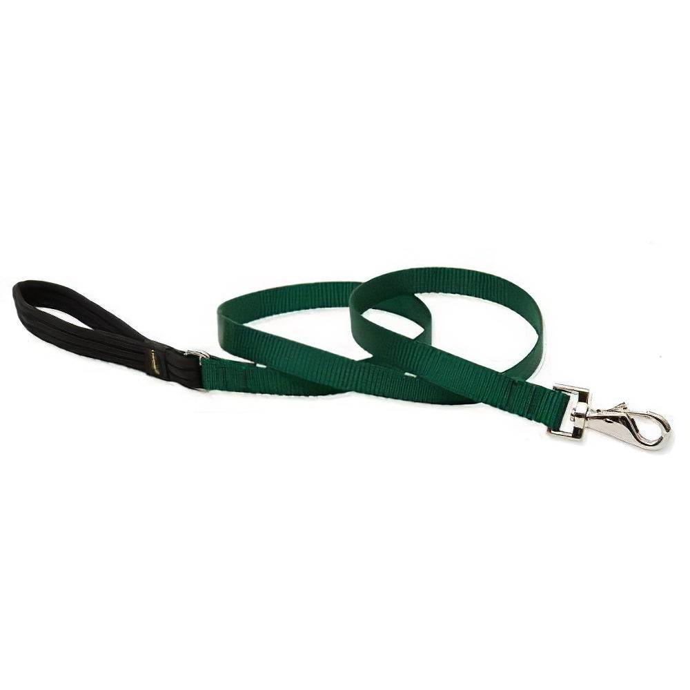 LupinePet Basic Solids Green Dog Leash - 3/4 in x 6 ft