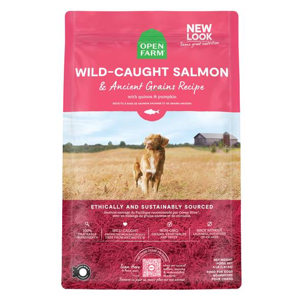 Open Farm Dog Wild-Caught Salmon & Ancient Grains Dry Food 22LB