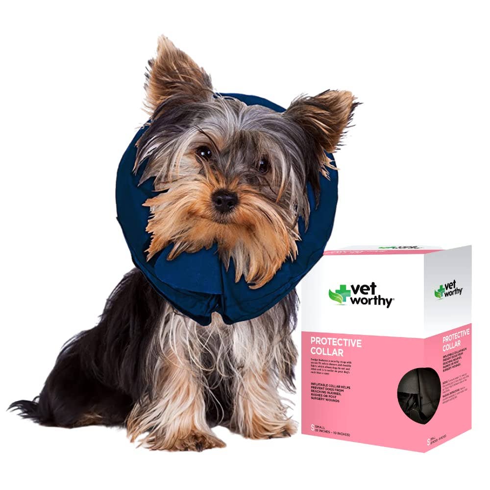 Vet Worthy Pet Protective Collar Boxed