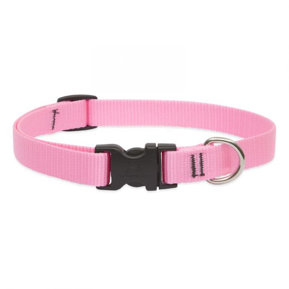 LupinePet Basic Solids Pink Adjustable Dog Collar - 3/4 in x 9-14 in