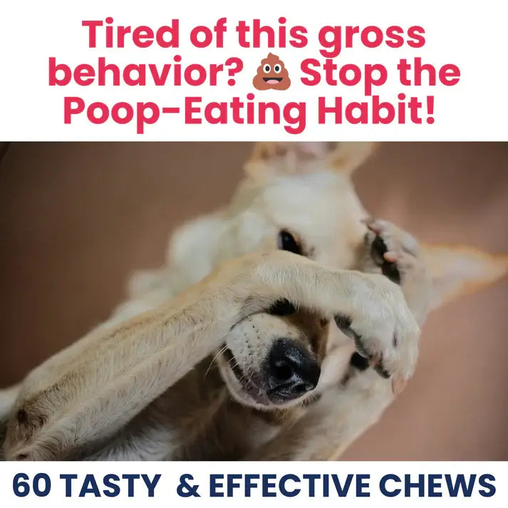 Under the Weather Coprophagia - No Poop Eating Soft Chew 60c