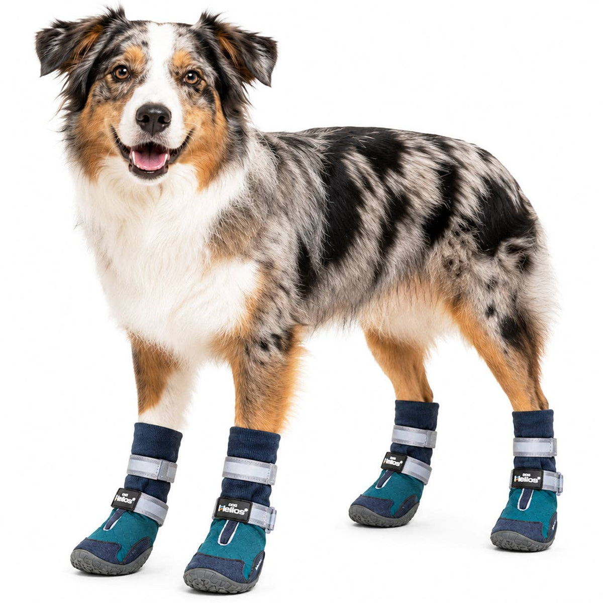 Dog Helios 'Traverse' Premium Grip High-Ankle Outdoor Dog