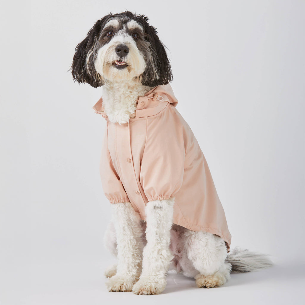 Petal Pink Dog Raincoat