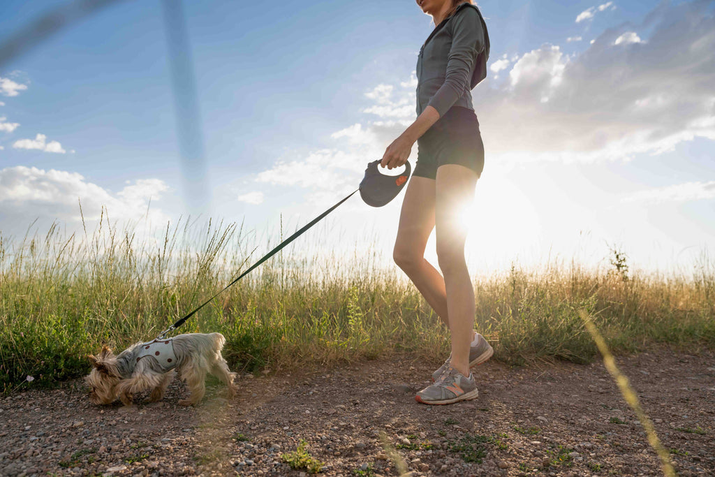 TUG Retractable Dog Leash with Integrated Dispenser