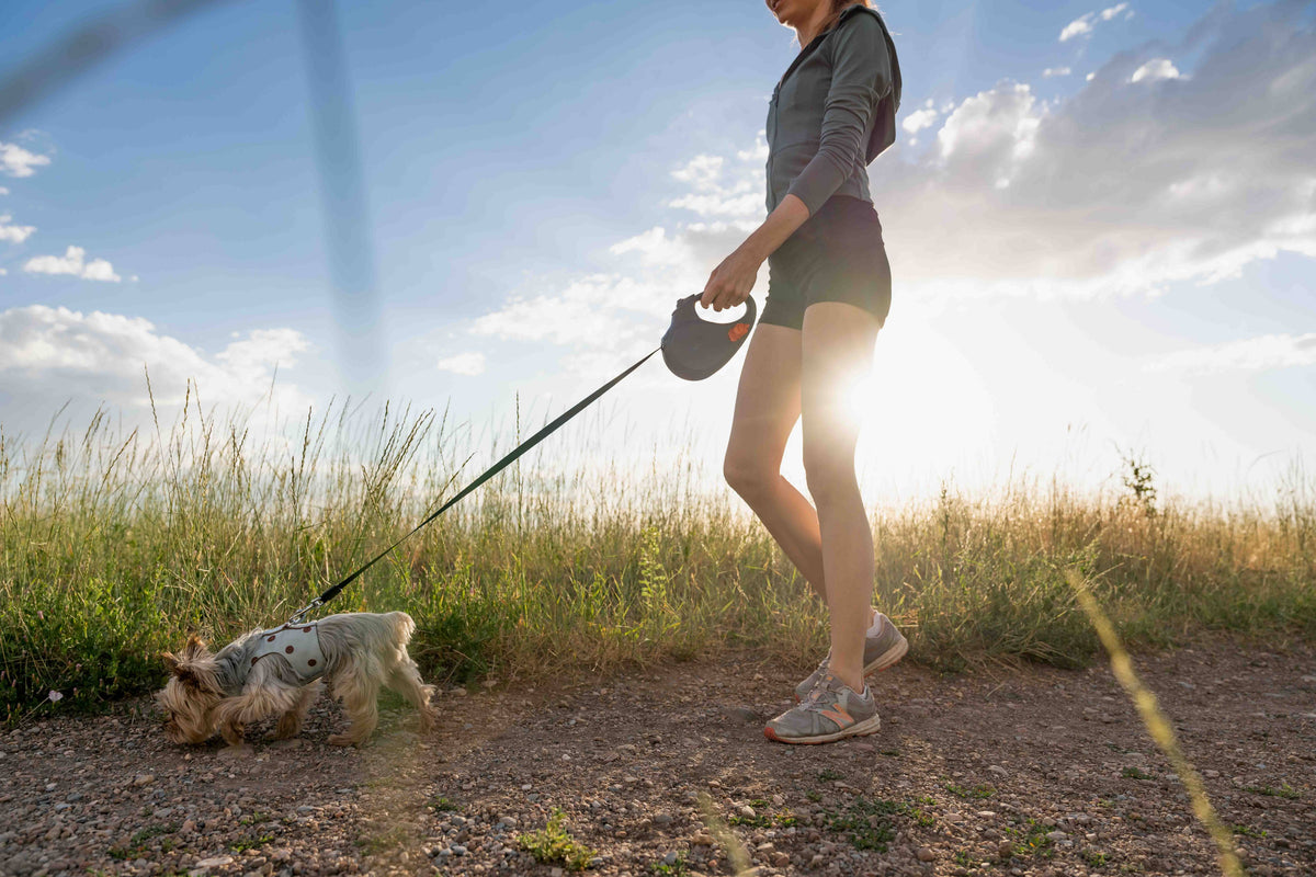 TUG Retractable Dog Leash with Integrated Dispenser
