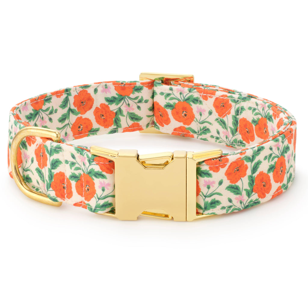 Golden Poppies Dog Collar