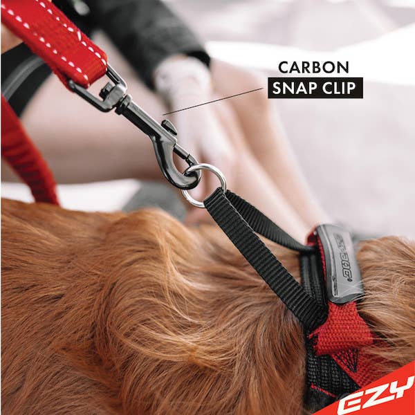 Ezydog Zero Shock Leash