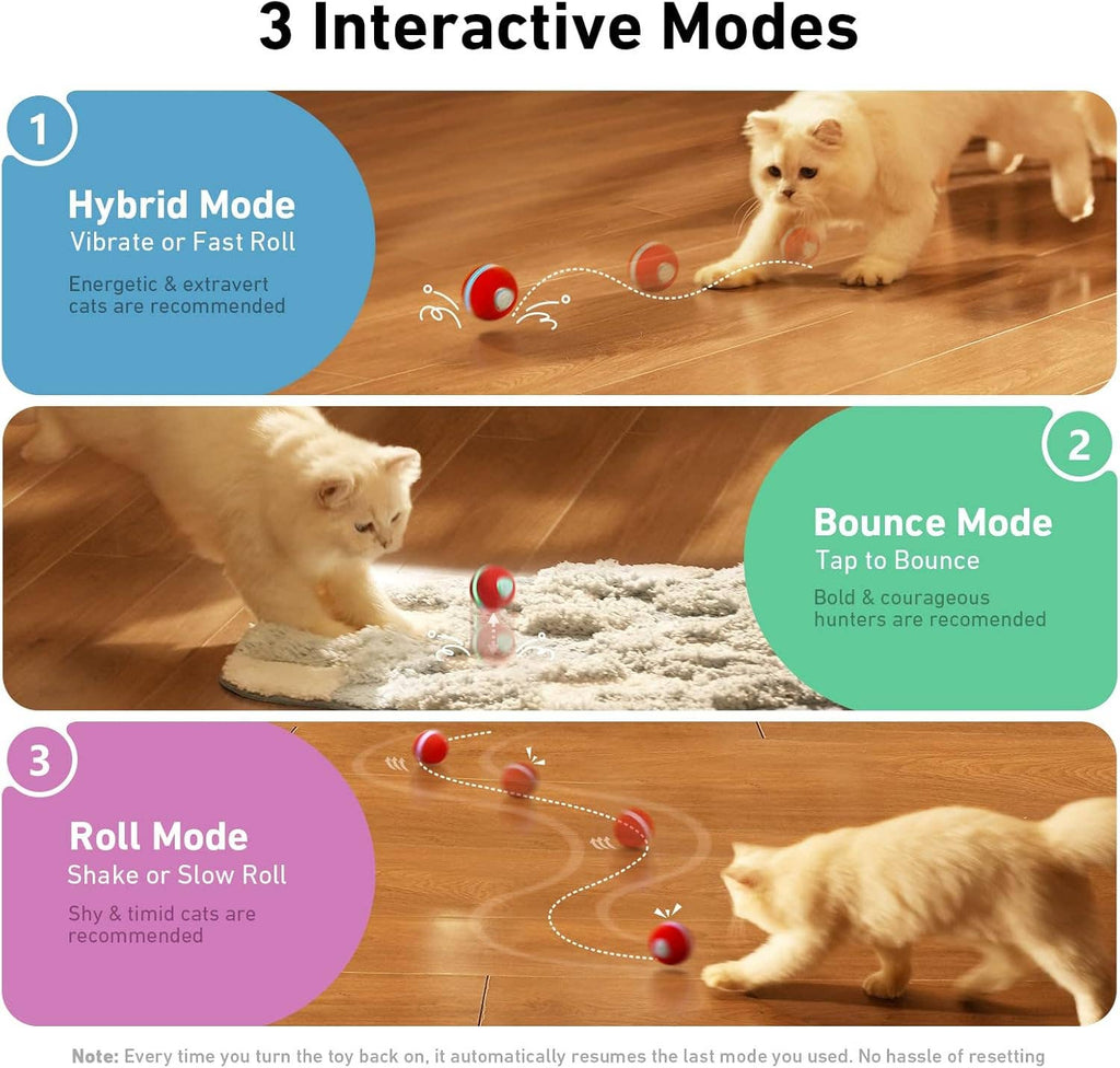 Cheerble Wicked Ball M3 Automatic Ball & Interactive Cat Toy