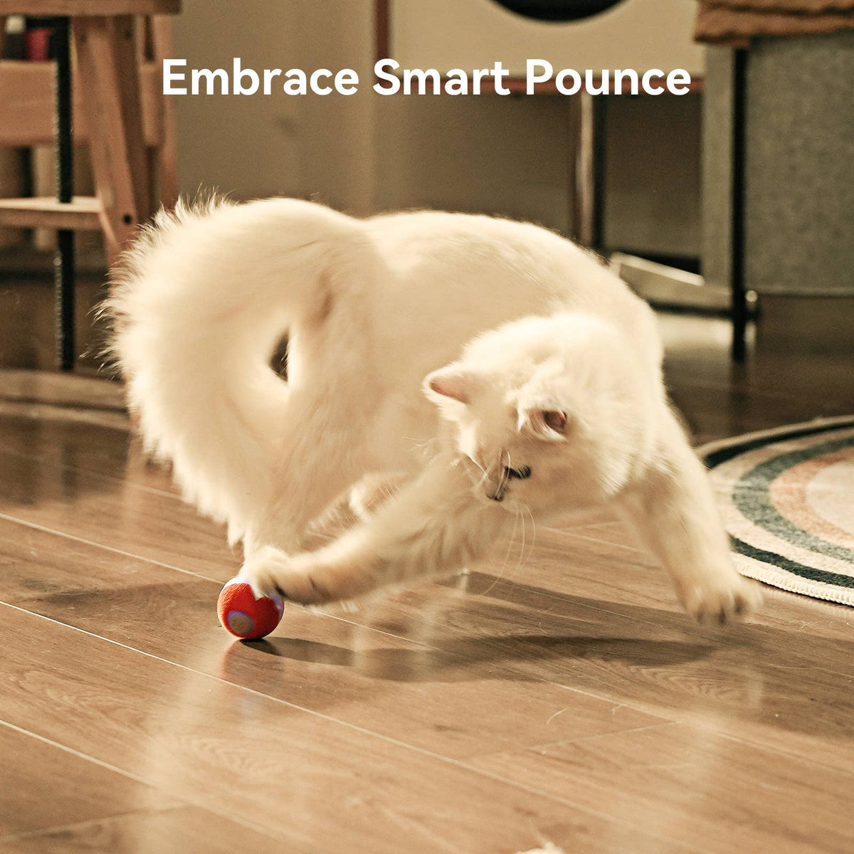 Cheerble Wicked Ball M3 Automatic Ball & Interactive Cat Toy