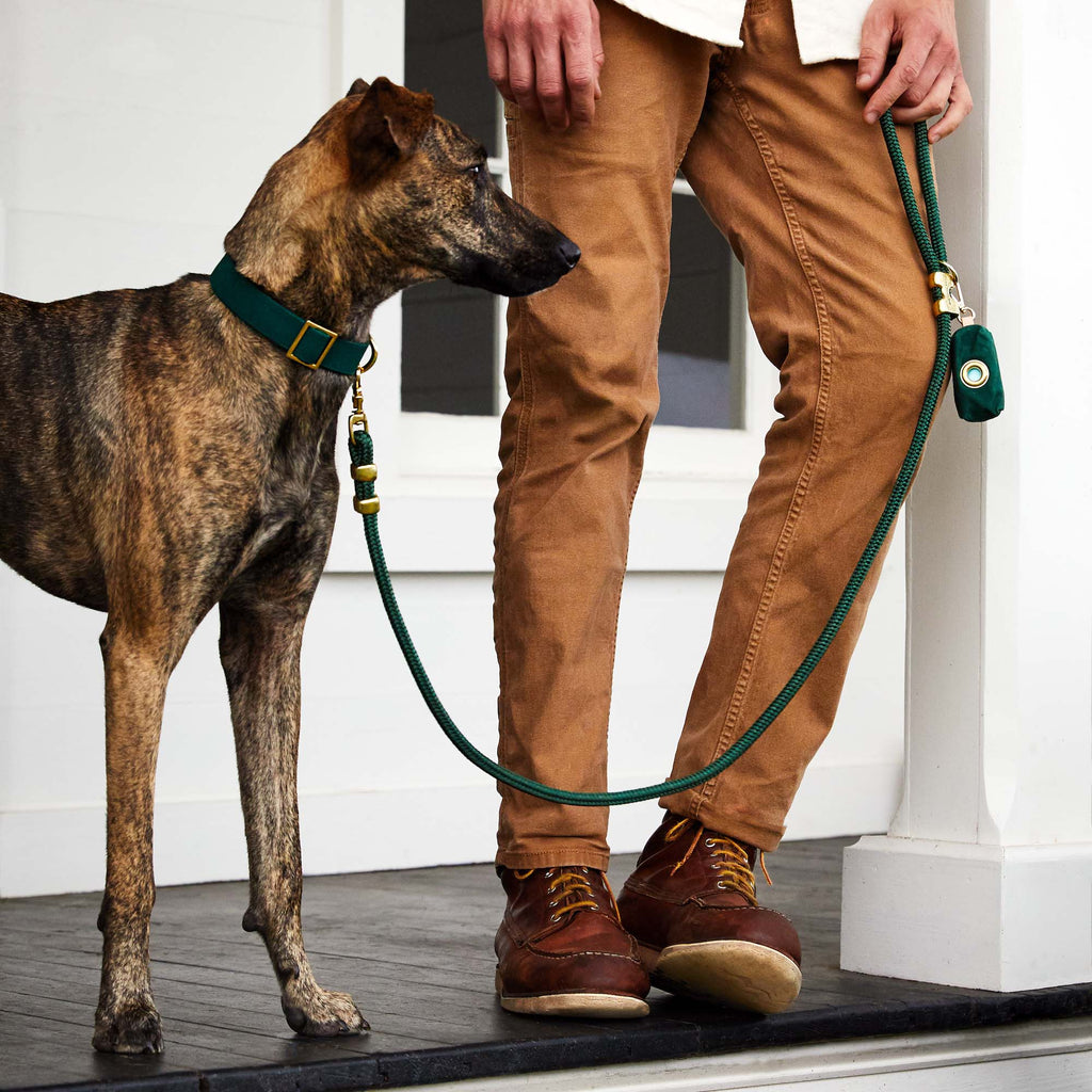 Evergreen Waxed Canvas Poop Bag Dispenser