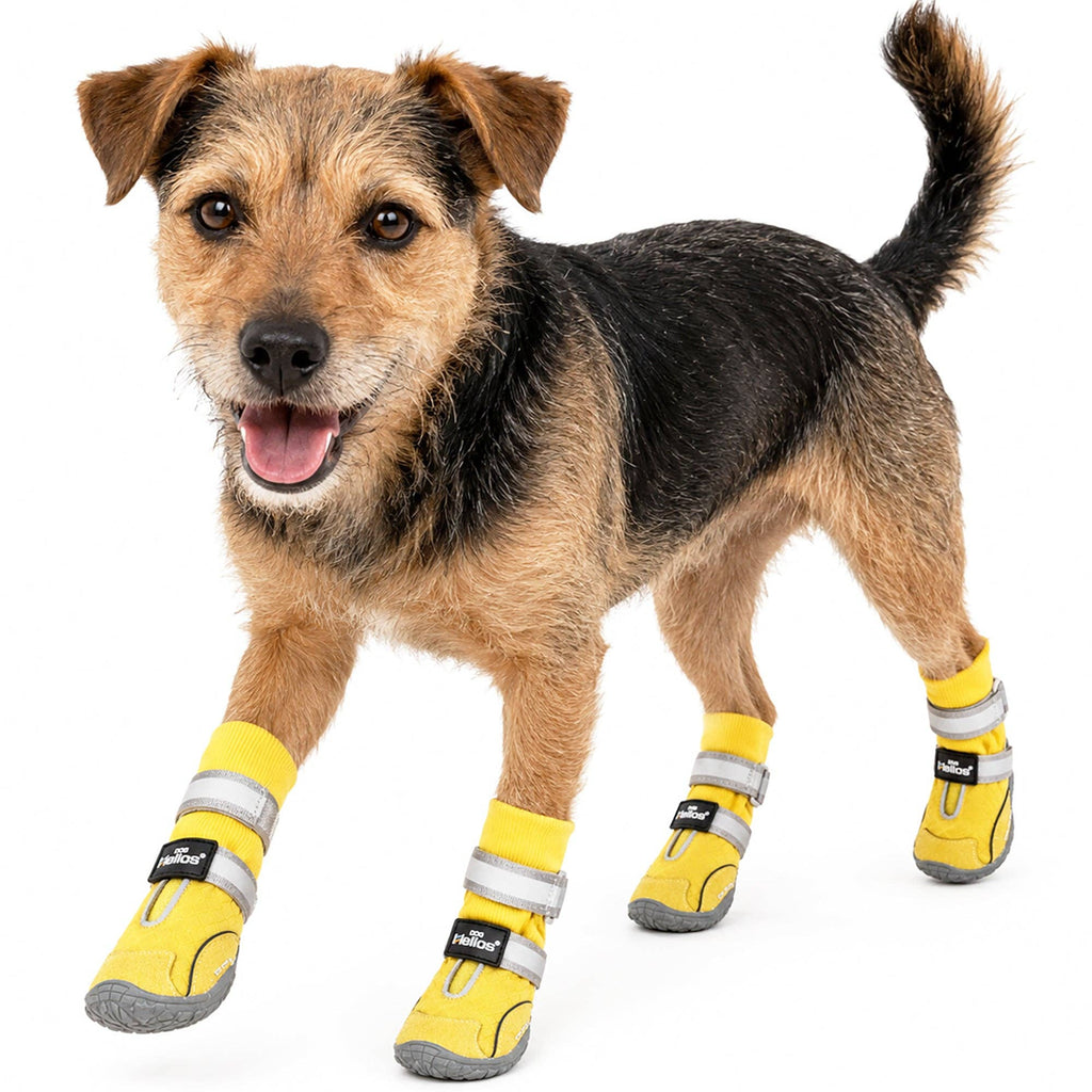 Dog Helios 'Traverse' Premium Grip High-Ankle Outdoor Dog