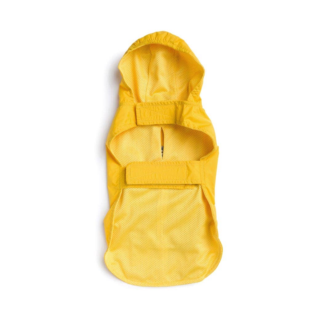 Yellow Raincoat