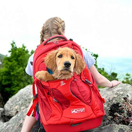 Kurgo G-Train K9 Backpack Carrier - Chili Red