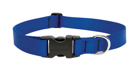 LupinePet Basic Solids Blue Adjustable Dog Collar - 1 in x 16-28 in