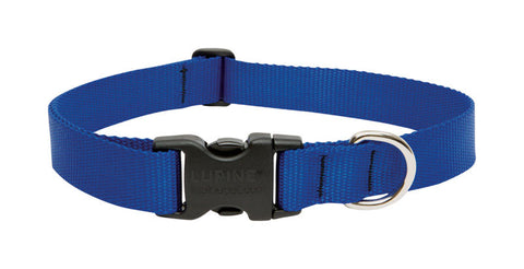 LupinePet Basic Solids Blue Adjustable Dog Collar - 1 in x 12-20 in