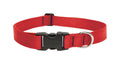 LupinePet Basic Solids Red Adjustable Dog Collar - 1 in x 16-28 in