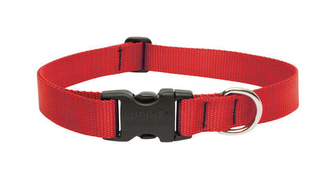 LupinePet Basic Solids Red Adjustable Dog Collar - 1 in x 16-28 in