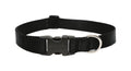 LupinePet Basic Solids Black Adjustable Dog Collar - 1 in x 16-28 in