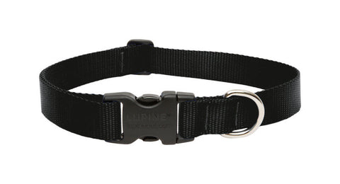 LupinePet Basic Solids Black Adjustable Dog Collar - 1 in x 16-28 in