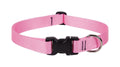 LupinePet Basic Solids Pink Adjustable Dog Collar - 1 in x 12-20 in