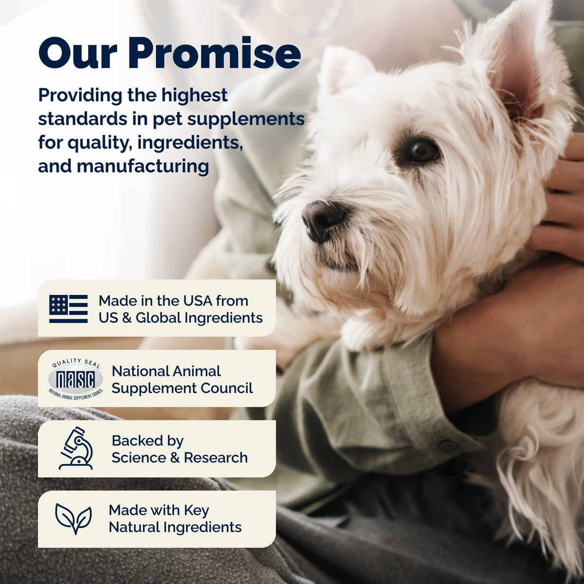 Glandex Anal Gland Support Soft Chews Bacon & Pumpkin 30ct