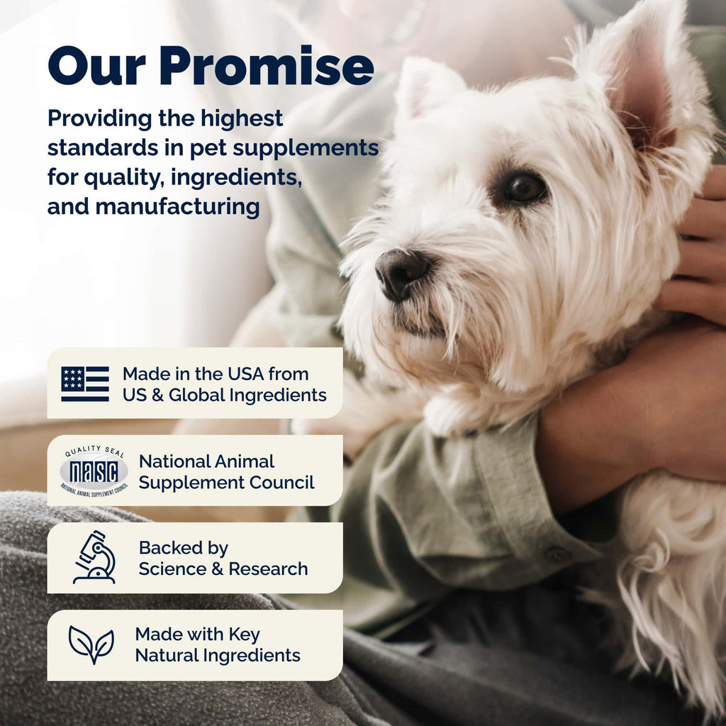 Glandex Anal Gland Support Soft Chews Duck & Bacon 60ct.