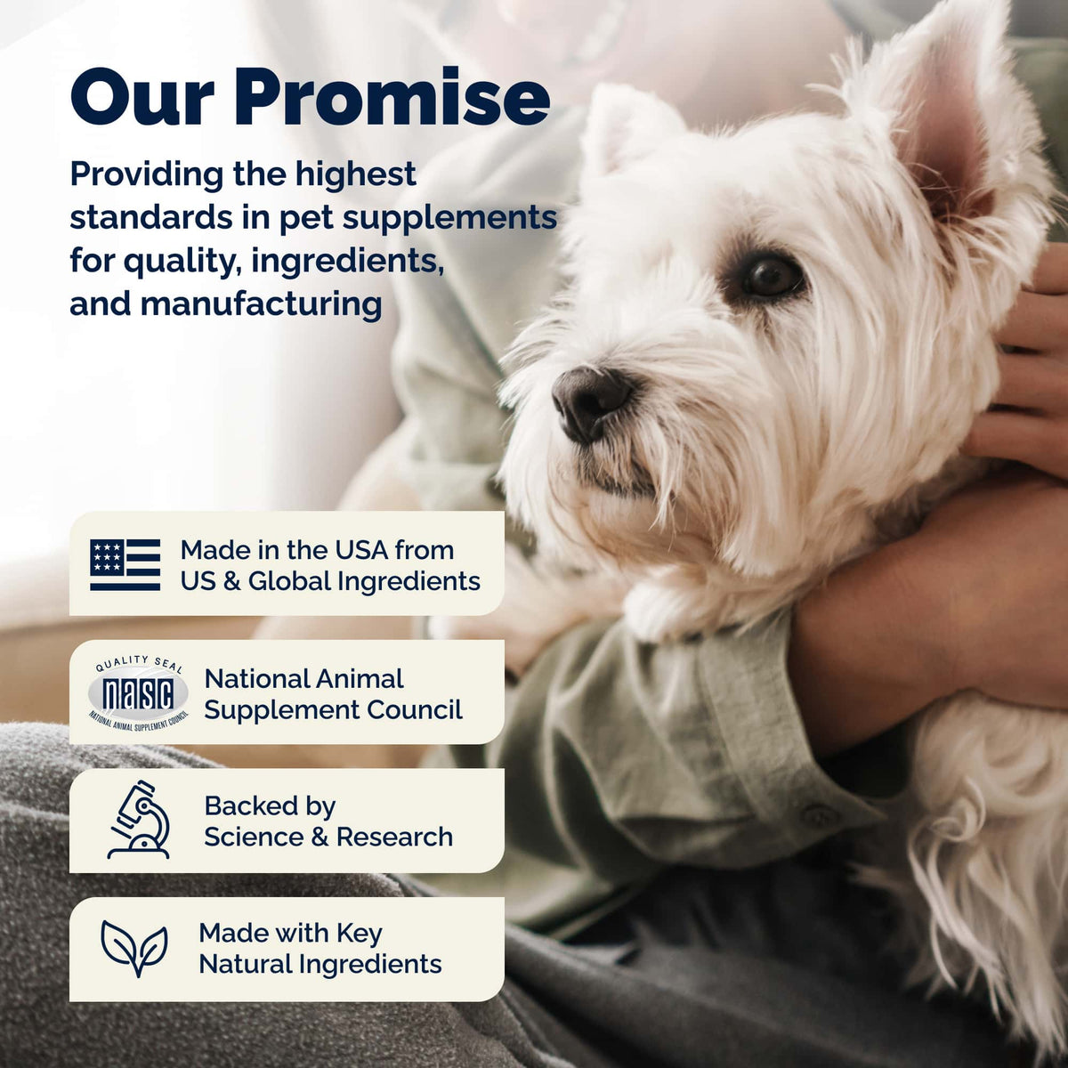 Glandex Anal Gland Support Soft Chews Duck & Bacon 60ct.