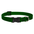 LupinePet Basic Solids Green Adjustable Dog Collar - 3/4 in x 13-22 in