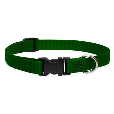 LupinePet Basic Solids Green Adjustable Dog Collar - 3/4 in x 13-22 in