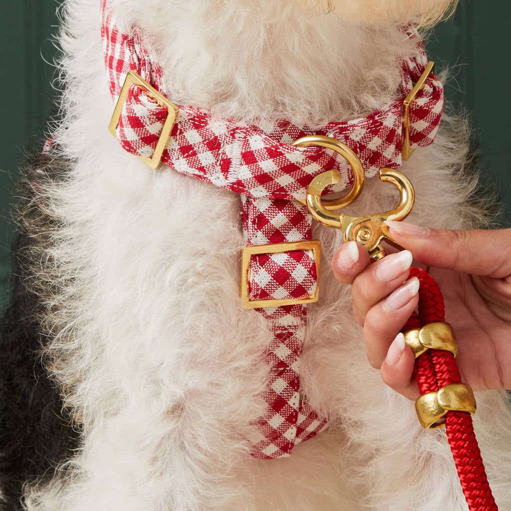 Red Gingham Dog Harness