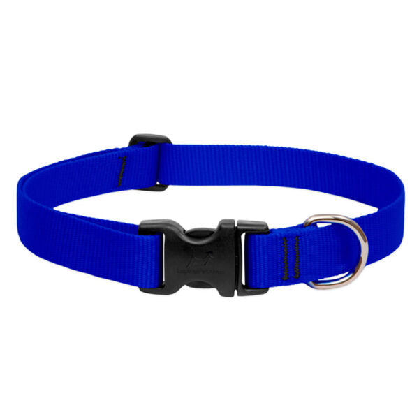 LupinePet Basic Solids Blue Adjustable Dog Collar - 1/2 in x 6-9 in