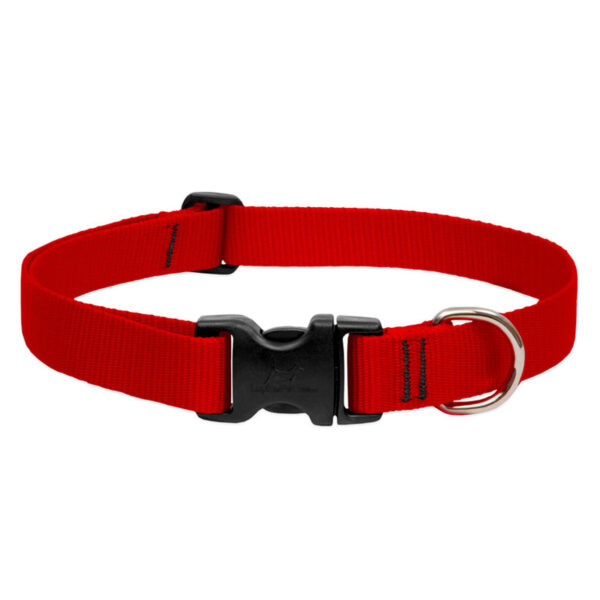 LupinePet Basic Solids Red Adjustable Dog Collar - 1/2 in x 6-9 in